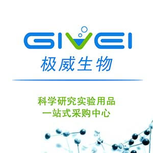 人组织蛋白酶V（CTSV）酶联免疫吸附测定试剂盒