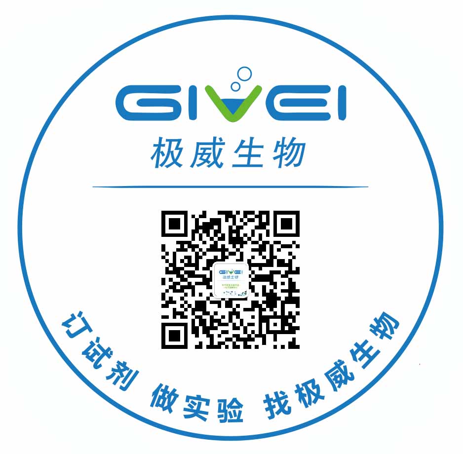 ��-���޴� ����-sitosterol�� ����