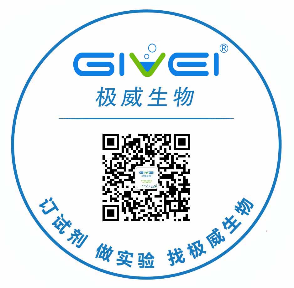 6-øG6PDH/-6-øԺУֹȷ