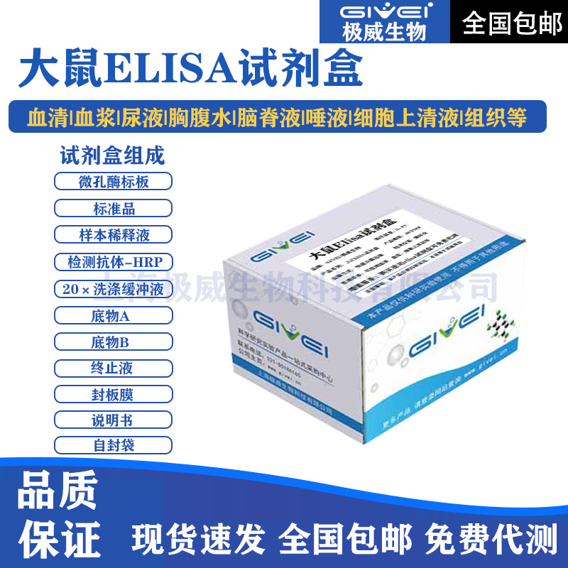 人钙非依赖型磷脂酶A2β（iPLA2β）酶联免疫吸附测定试剂盒
