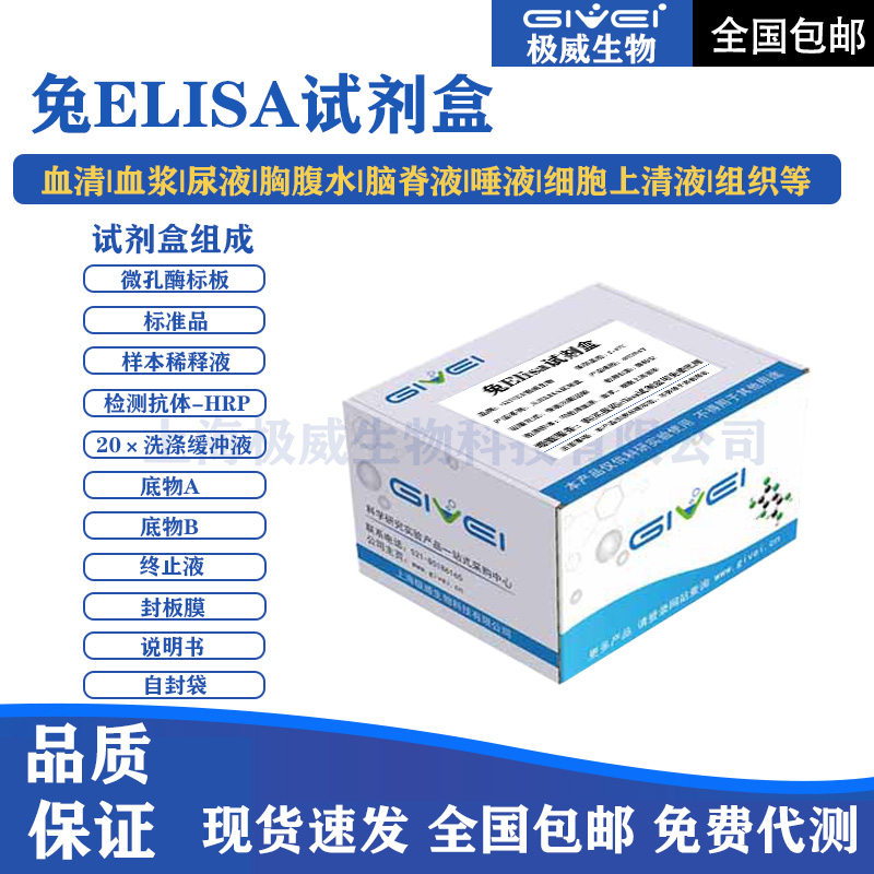 兔前列腺素I合酶（PTGIS）酶联免疫吸附测定试剂盒
